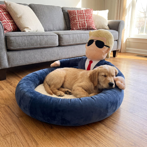 Golden retriever puppy asleep in the First Dog Bed in a living room