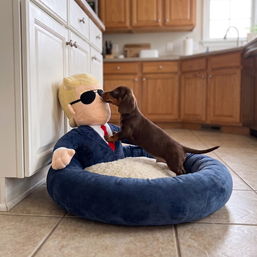 Dachshund puppy greeting the plush President in the First Dog Bed