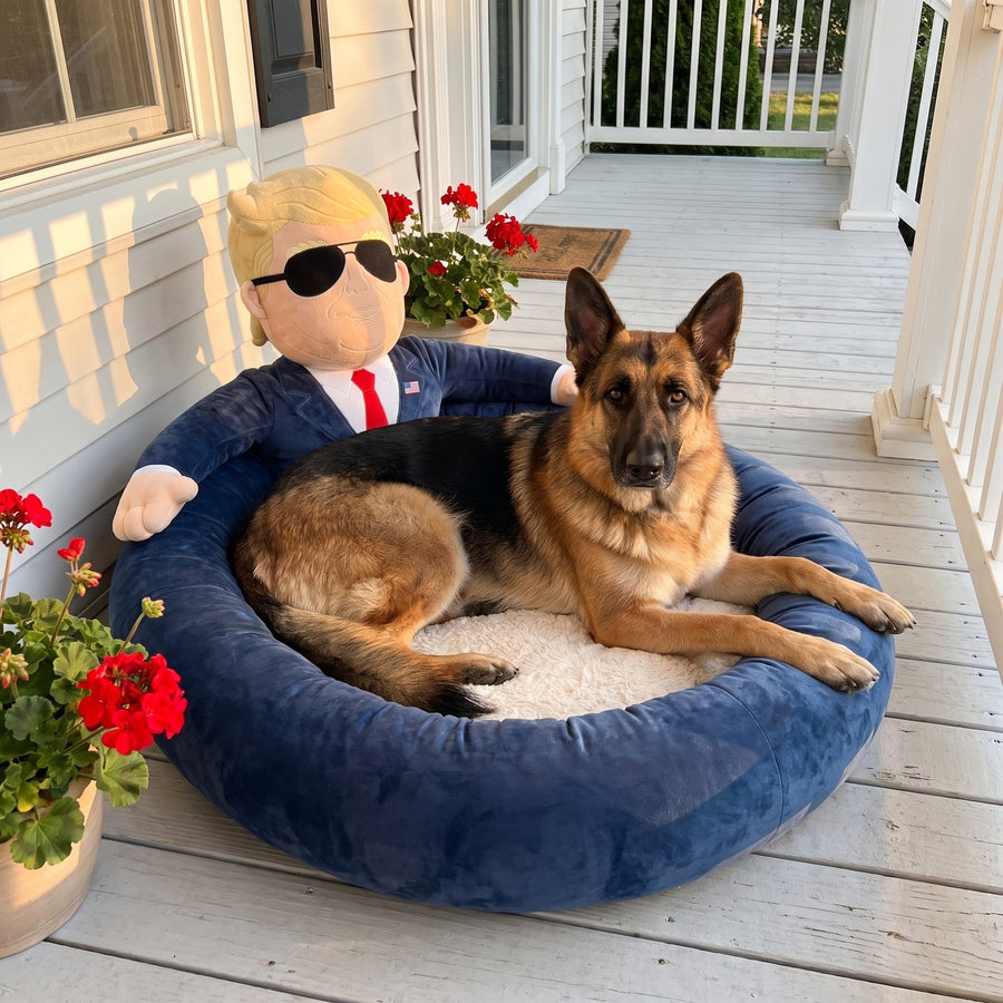 German Shepherd in the XL First Dog Bed on a front porch