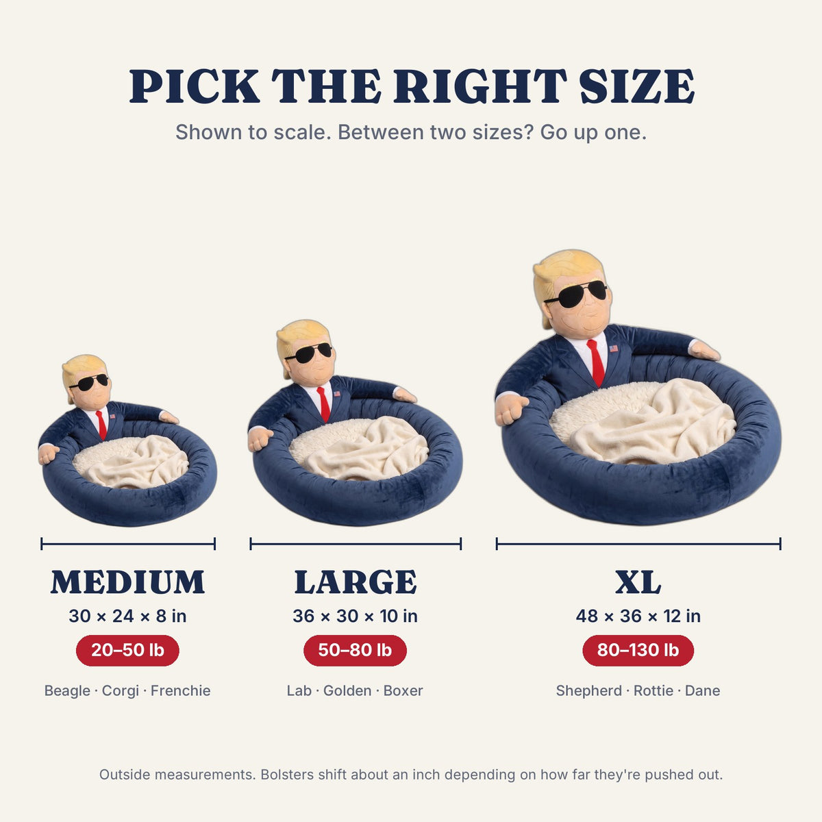 First Dog Bed sizes: Medium 30 x 24 in, Large 36 x 30 in, XL 48 x 36 in