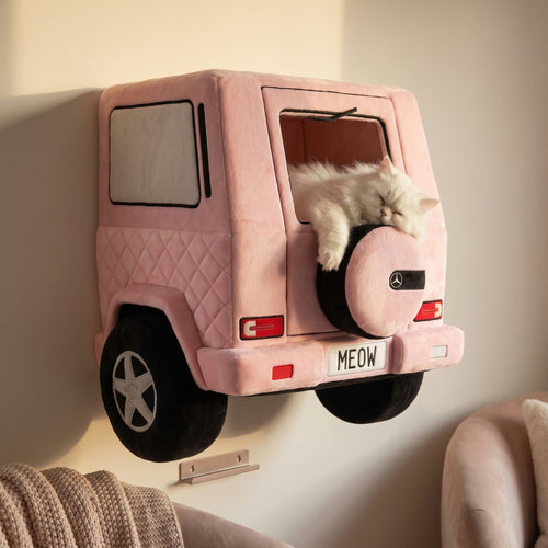 Roost Cruiser — Wall-Mounted Cat Bed