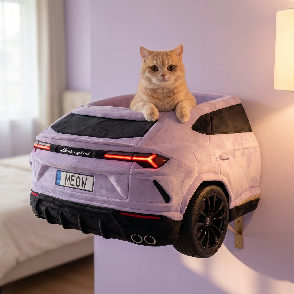 Roost Cruiser — Wall-Mounted Cat Bed